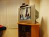 p1010074_small.jpg